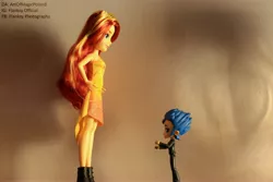 Size: 6000x4000 | Tagged: safe, artist:artofmagicpoland, derpibooru import, flash sentry, sunset shimmer, equestria girls, equestria girls series, doll, equestria girls minis, eqventures of the minis, female, friendship party pack, giantess, macro, meme, size difference, toy, waifu thief