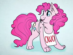 Size: 1024x768 | Tagged: safe, artist:incendiaryboobs, derpibooru import, pinkie pie, cat, pony, apron, blue background, catified, chest fluff, clothes, cute, dawwww, ear fluff, eyelashes, female, owo, paws, pinkie cat, signature, simple background, solo, species swap