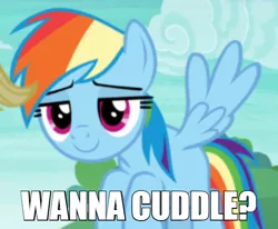 Size: 600x494 | Tagged: safe, derpibooru import, edit, edited screencap, screencap, rainbow dash, pegasus, pony, non-compete clause, bronybait, caption, cropped, cuddling, female, flying, image macro, imgflip, impact font, lidded eyes, mare, meme, smiling, text