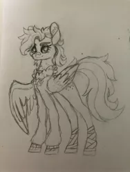 Size: 3024x4032 | Tagged: safe, artist:loveedovey, derpibooru import, oc, oc:golden daze, pegasus, pony, bomber jacket, clothes, female, jacket, mare, monochrome, solo, traditional art