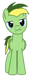 Size: 657x1599 | Tagged: safe, artist:didgereethebrony, derpibooru import, oc, oc:didgeree, unofficial characters only, pegasus, pony, blue eyes, colored lineart, folded wings, frown, green coat, lidded eyes, looking at you, male, reupload, simple background, solo, spiky mane, spiky tail, stallion, standing, transparent background, two toned mane, two toned tail, unamused, updated, updated design, vector, wings