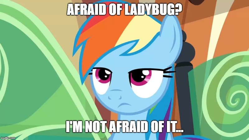 Size: 888x499 | Tagged: safe, derpibooru import, edit, edited screencap, screencap, rainbow dash, insect, ladybug, pegasus, pony, starlight the hypnotist, the lost treasure of griffonstone, spoiler:interseason shorts, caption, female, image macro, imgflip, impact font, lidded eyes, mare, meme, solo, text