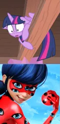 Size: 501x1039 | Tagged: safe, derpibooru import, edit, screencap, twilight sparkle, twilight sparkle (alicorn), alicorn, insect, ladybug, pony, starlight the hypnotist, spoiler:interseason shorts, 1000 years in photoshop, body horror, miraculous ladybug, trypophobia, twilight hates ladybugs, twilight is afraid of miraculous ladybug