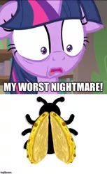 Size: 500x817 | Tagged: alicorn, caption, comic, derpibooru import, edit, edited screencap, fear, floppy ears, food, image macro, imgflip, impact font, insect, ladybug, meme, pure unfiltered evil, quesadilla, safe, screencap, solo, spoiler:interseason shorts, starlight the hypnotist, text, they're just so cheesy, twilight hates ladybugs, twilight sparkle, twilight sparkle (alicorn), what has science done