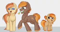 Size: 1960x1058 | Tagged: safe, artist:thegamblehorse, deleted from derpibooru, derpibooru import, oc, oc:parlay, oc:rusted wrench, oc:summer spark, unofficial characters only, earth pony, pony, colored sketch, cute, family, female, filly, flirting, flower, freckles, male, mare, oc x oc, shipping, simple background, stallion, straight, unshorn fetlocks