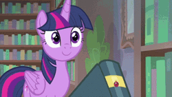 Size: 480x270 | Tagged: safe, derpibooru import, screencap, berry blend, berry bliss, november rain, silverstream, twilight sparkle, twilight sparkle (alicorn), alicorn, classical hippogriff, earth pony, hippogriff, insect, ladybug, pony, unicorn, starlight the hypnotist, spoiler:interseason shorts, adorable distress, animated, balcony, book, c:, coccinellidaephobia, confused, cute, escape, faic, falling, female, floppy ears, friendship student, frown, funny, gif, horses doing horse things, library, majestic as fuck, male, mare, raised eyebrow, scared, smiling, so ridiculous it's funny, solo focus, stallion, twiabetes, twilight hates ladybugs, wide eyes