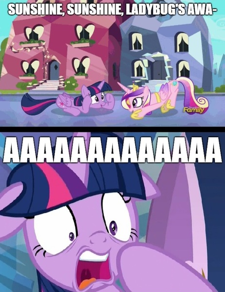 Size: 619x802 | Tagged: safe, derpibooru import, edit, edited screencap, screencap, princess cadance, twilight sparkle, twilight sparkle (alicorn), alicorn, insect, ladybug, pony, molt down, starlight the hypnotist, the times they are a changeling, spoiler:interseason shorts, aaaaaaaaaa, caption, coccinellidaephobia, continuity error, female, floppy ears, image macro, impact font, mare, meme, scared, shocked, sunshine sunshine, text, twilight hates ladybugs