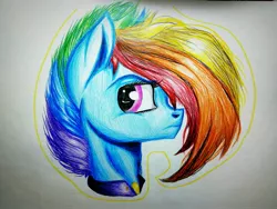 Size: 3264x2448 | Tagged: safe, artist:misscandyt, derpibooru import, rainbow dash, pony, alternate timeline, apocalypse dash, bust, crystal war timeline, female, high res, mare, pencil drawing, portrait, solo, traditional art