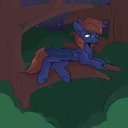 Size: 1000x1000 | Tagged: safe, artist:vert_glamis, derpibooru import, oc, oc:warly, unofficial characters only, bat pony, pony, bat pony oc, bat wings, chest fluff, fangs, forest, male, night, solo, stallion, tree, tree branch, wings