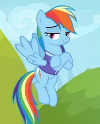Size: 758x936 | Tagged: safe, derpibooru import, screencap, rainbow dash, pegasus, pony, the end in friend, clothes, cropped, crossed hooves, female, flying, jersey, lidded eyes, mare, smiling, smirk, smug, spread wings, wings