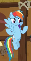 Size: 478x937 | Tagged: safe, derpibooru import, screencap, rainbow dash, pegasus, pony, yakity-sax, cropped, female, flying, mare, raised hoof, solo, spread wings, underhoof, wings