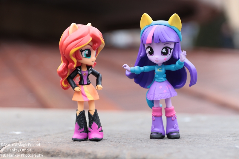 Size: 6000x4000 | Tagged: safe, artist:artofmagicpoland, derpibooru import, sunset shimmer, twilight sparkle, twilight sparkle (alicorn), alicorn, equestria girls, clothes, doll, equestria girls minis, skirt, spotlight stealing squad, toy