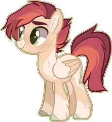 Size: 821x887 | Tagged: safe, artist:s1nb0y, derpibooru import, oc, pegasus, pony, male, simple background, solo, stallion, transparent background