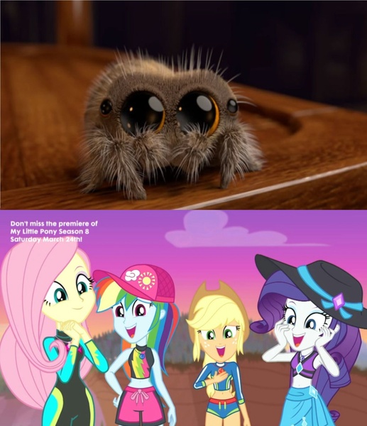Size: 1660x1926 | Tagged: safe, derpibooru import, edit, screencap, applejack, fluttershy, rainbow dash, rarity, spider, aww... baby turtles, equestria girls, equestria girls series, beach, clothes, geode of fauna, geode of shielding, geode of super speed, geode of super strength, jumping spider, lucas the spider, magical geodes, reaction, reaction image, swimsuit