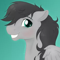 Size: 1600x1600 | Tagged: safe, artist:acry-artwork, derpibooru import, oc, oc:helicity, pegasus, pony, bust, grin, male, portrait, smiling, solo, stallion