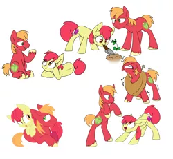 Size: 6061x5570 | Tagged: safe, artist:chub-wub, derpibooru import, apple bloom, big macintosh, earth pony, pony, absurd resolution, adorabloom, age regression, apple siblings, apple sisters, brother and sister, cute, cutie mark, duo, eye clipping through hair, female, filly, floppy ears, image, macabetes, male, mouth hold, plant, png, rearing, siblings, sisters, stallion, the cmc's cutie marks, unshorn fetlocks, yoke