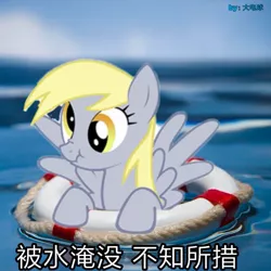 Size: 727x727 | Tagged: safe, derpibooru import, derpy hooves, pony, chinese text, irl, photo, ps