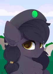 Size: 3600x5000 | Tagged: safe, artist:xsatanielx, derpibooru import, oc, oc:mir, unofficial characters only, pony, bust, commission, female, hat, mare, portrait, rcf community, solo