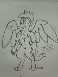 Size: 1932x2576 | Tagged: safe, artist:drheartdoodles, derpibooru import, oc, oc:helios, anthro, gryphon, chest fluff, fluffy, spread wings, standing, wheres the cock, wings