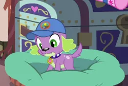 Size: 354x238 | Tagged: safe, derpibooru import, screencap, spike, spike the regular dog, dog, equestria girls, legend of everfree, camp everfree logo, cap, cropped, hat, male, tail