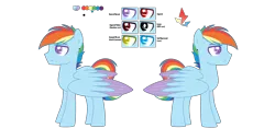 Size: 6472x3312 | Tagged: safe, artist:dashblitzfan4ever, derpibooru import, rainbow dash, pegasus, pony, male, rainbow blitz, reference sheet, rule 63, simple background, solo, stallion, transparent background