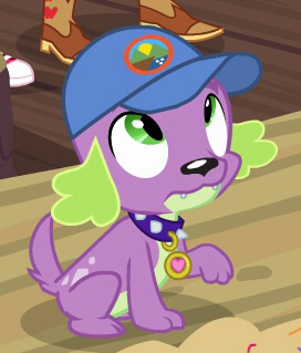 Size: 272x319 | Tagged: safe, derpibooru import, screencap, spike, spike the regular dog, dog, equestria girls, legend of everfree, camp everfree logo, cap, collar, cropped, hat, male, offscreen character, paws, solo, spike's dog collar, tail