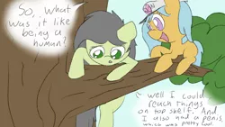 Size: 1280x720 | Tagged: suggestive, artist:happy harvey, derpibooru import, oc, oc:anonfilly, oc:little league, unofficial characters only, pony, climbing, dialogue, drawn on phone, duo, female, females only, filly, hanging, implied human, implied penis, tree, tree branch