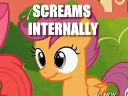 Size: 531x399 | Tagged: all new, apple bloom, blank stare, caption, cropped, derpibooru import, edit, edited screencap, female, filly, hub logo, image macro, meme, safe, scootaloo, screencap, text, twilight time, x internally