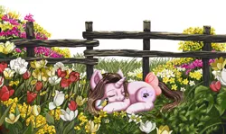 Size: 2157x1286 | Tagged: safe, alternate version, artist:erim-kawamori, derpibooru import, oc, oc:cindy, unofficial characters only, bird, great tit, pony, unicorn, bow, eyes closed, female, fence, flower, flower field, grass, mare, outdoors, prone, sleeping, smiling, solo, tail bow