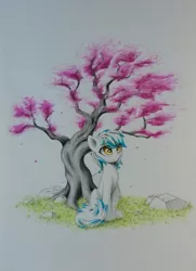 Size: 1184x1637 | Tagged: safe, artist:ifmsoul, derpibooru import, oc, unofficial characters only, earth pony, pony, blank flank, chest fluff, ear fluff, eye clipping through hair, female, grass, mare, outdoors, rock, simple background, sitting, solo, three quarter view, traditional art, tree, white background