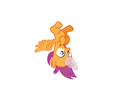 Size: 1024x768 | Tagged: safe, artist:turnaboutart, derpibooru import, scootaloo, alicorn, pony, alicornified, colt, magic, magic fail, male, race swap, rule 63, scootacorn, scooteroll, skatercorn, solo, surprised, upside down