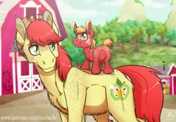 Size: 1600x1106 | Tagged: safe, artist:inuhoshi-to-darkpen, derpibooru import, big macintosh, bright mac, pony, apple, apple tree, barn, brightabetes, colt, colt big macintosh, cowboy hat, cute, father and child, father and son, freckles, hat, looking back, macabetes, male, stallion, stetson, sweet apple acres, tiny mac, tree, younger