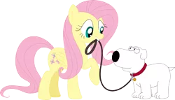 Size: 3569x2040 | Tagged: artist:porygon2z, brian griffin, crossover, derpibooru import, family guy, fluttershy, safe