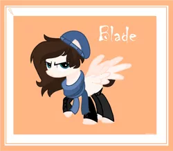 Size: 1024x892 | Tagged: safe, artist:dacrazywazy, derpibooru import, oc, oc:blade, pegasus, pony, beanie, clothes, female, hat, mare, scarf, solo