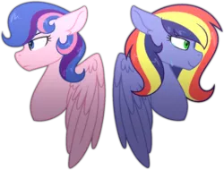 Size: 1024x778 | Tagged: safe, artist:andy-hazards, derpibooru import, oc, oc:galaxy guard, oc:paint swirl, unofficial characters only, pegasus, pony, kindverse, offspring, parent:flash sentry, parent:rainbow dash, parent:soarin', parent:twilight sparkle, parents:flashlight, parents:soarindash