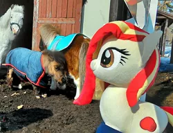 Size: 1472x1133 | Tagged: safe, artist:hihin1993, derpibooru import, oc, oc:poniko, unofficial characters only, horse, pony, shetland pony, horse-pony interaction, irl, irl horse, irl pony, japan, photo, plushie, solo