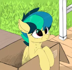Size: 3500x3414 | Tagged: safe, artist:d.w.h.cn, derpibooru import, oc, oc:apogee, unofficial characters only, pegasus, pony, box, cheek fluff, cute, diageetes, ear fluff, eye clipping through hair, female, filly, freckles, gift from god, ocbetes, pony in a box, smiling, solo, transparent mane