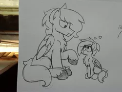 Size: 2576x1932 | Tagged: safe, artist:drheartdoodles, derpibooru import, oc, oc:dr.heart, oc:emerald beats, clydesdale, pegasus, pony, -c-, :3, chest fluff, duo, feltlocks, imminent boop, sitting, size difference