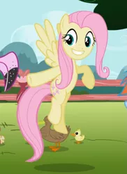 Size: 535x734 | Tagged: safe, derpibooru import, screencap, fluttershy, bird, duck, pegasus, pony, may the best pet win, cropped, female, flying, mare, pointing, raised hoof, smiling, solo focus, spread wings, teeth, wings