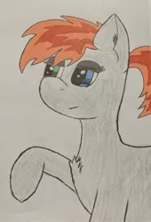 Size: 2484x3644 | Tagged: safe, artist:pinkamenace, derpibooru import, oc, oc:golden lotus, unofficial characters only, pony, heterochromia, solo, traditional art