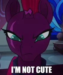 Size: 600x713 | Tagged: safe, derpibooru import, edit, edited screencap, screencap, tempest shadow, unicorn, my little pony: the movie, angry, armor, blatant lies, broken horn, bronybait, caption, cropped, cute, denial, denial's not just a river in egypt, eye scar, female, frown, furious, horn, i'm not cute, image macro, impact font, irritated, scar, scowl, solo, stained glass, tempestbetes, text, throne room