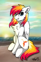 Size: 572x855 | Tagged: safe, artist:arjinmoon, derpibooru import, oc, oc:hotfix, unofficial characters only, pegasus, pony, beach, chest fluff, ear fluff, fluffy, looking at you, male, ocean, sitting, solo, stallion, sunset, wings