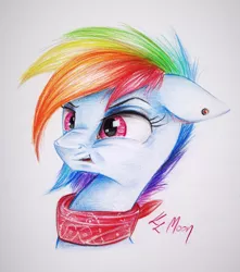 Size: 1024x1160 | Tagged: safe, artist:lailyren, artist:moonlight-ki, derpibooru import, rainbow dash, pony, clothes, colored pencil drawing, disgusted, ear piercing, piercing, reaction image, scarf, traditional art