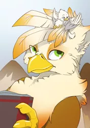 Size: 1234x1745 | Tagged: safe, artist:arctic-fox, derpibooru import, oc, oc:der, oc:ember burd, unofficial characters only, gryphon, behaving like a bird, birds doing bird things, book, duo, griffons doing bird things, grooming, male, micro, preening