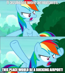 Size: 500x564 | Tagged: episode needed, safe, derpibooru import, edit, edited screencap, screencap, rainbow dash, pegasus, pony, angry, comic, female, flying, frown, glare, impact font, mare, meme, screencap comic, solo, spread wings, vulgar, wide eyes, wings