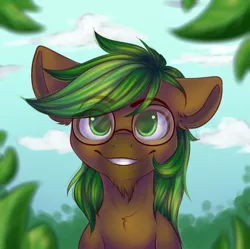 Size: 1200x1197 | Tagged: safe, artist:falafeljake, derpibooru import, oc, oc:jaeger sylva, unofficial characters only, earth pony, pony, brown coat, bust, cloud, commission, ear fluff, facial hair, glasses, goatee, green eyes, green mane, looking at you, male, portrait, smiling, solo, stallion, ych result