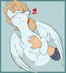 Size: 2000x2200 | Tagged: safe, artist:cold blight, derpibooru import, oc, oc:cold blight, unofficial characters only, human, pegasus, pony, beanbrows, behaving like a dog, belly button, bellyrubs, blue background, blushing, body freckles, chest fluff, cute, ear freckles, eyebrows, eyes closed, female, floppy ears, freckles, grin, hand, heart, human on pony petting, lip bite, mare, ocbetes, on back, petting, scratching, simple background, sleeping, smiling, solo focus, spoken heart, spread wings, waking up, wing fluff, wings
