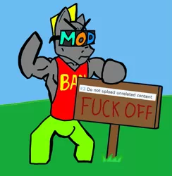 Size: 973x997 | Tagged: safe, artist:end credicts, derpibooru import, oc, unofficial characters only, earth pony, semi-anthro, angry, buff, chad, frown, male, meme, mod, muscles, no fun allowed, shitposting, sign, solo, sunglasses, vulgar, vulgar description
