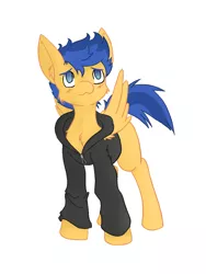 Size: 900x1200 | Tagged: safe, artist:steelsoul, derpibooru import, flash sentry, pegasus, pony, cheek fluff, chest fluff, clothes, cute, diasentres, ear fluff, equestria girls outfit, hoodie, male, no pupils, pixiv, simple background, solo, stallion, white background, wing fluff