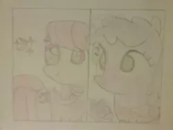 Size: 2592x1944 | Tagged: safe, artist:jerryakira80, derpibooru import, oc, oc:strawberry moon, oc:sweetie rose, unofficial characters only, earth pony, pegasus, pony, female, mare, traditional art